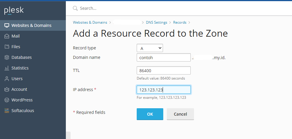 Form tambah DNS Record di Plesk