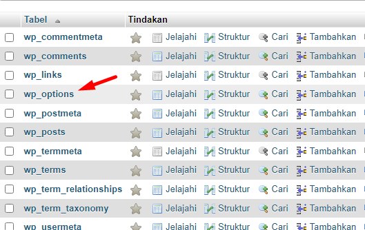 Tabel wp_options